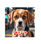 わんこの感情スタンプ（ビーグル）（個別スタンプ：16）