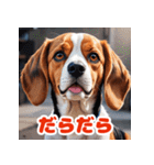 わんこの感情スタンプ（ビーグル）（個別スタンプ：24）