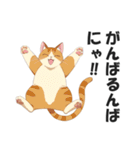 昭和死語を話す猫【昭和言葉・懐かしい】（個別スタンプ：7）