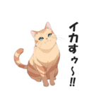 昭和死語を話す猫【昭和言葉・懐かしい】（個別スタンプ：10）