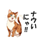 昭和死語を話す猫【昭和言葉・懐かしい】（個別スタンプ：13）