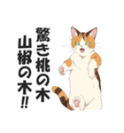 昭和死語を話す猫【昭和言葉・懐かしい】（個別スタンプ：16）