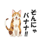 昭和死語を話す猫【昭和言葉・懐かしい】（個別スタンプ：21）