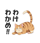 昭和死語を話す猫【昭和言葉・懐かしい】（個別スタンプ：25）