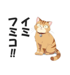 昭和死語を話す猫【昭和言葉・懐かしい】（個別スタンプ：26）