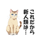 昭和死語を話す猫【昭和言葉・懐かしい】（個別スタンプ：28）
