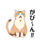 昭和死語を話す猫【昭和言葉・懐かしい】（個別スタンプ：30）