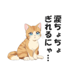 昭和死語を話す猫【昭和言葉・懐かしい】（個別スタンプ：33）