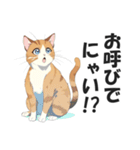 昭和死語を話す猫【昭和言葉・懐かしい】（個別スタンプ：34）
