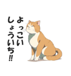 昭和死語を話す猫【昭和言葉・懐かしい】（個別スタンプ：38）