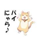 昭和死語を話す猫【昭和言葉・懐かしい】（個別スタンプ：40）