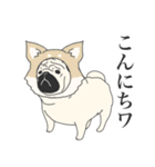 ぱぐりもの3（個別スタンプ：1）