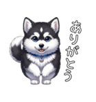 日常に溶け込むマラミュート（個別スタンプ：8）