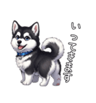 日常に溶け込むマラミュート（個別スタンプ：10）