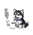 日常に溶け込むマラミュート（個別スタンプ：13）