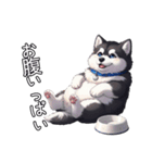 日常に溶け込むマラミュート（個別スタンプ：14）