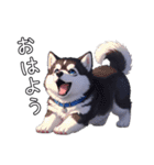 日常に溶け込むマラミュート（個別スタンプ：15）
