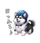 日常に溶け込むマラミュート（個別スタンプ：17）