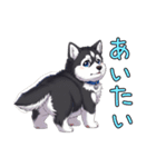 日常に溶け込むマラミュート（個別スタンプ：23）