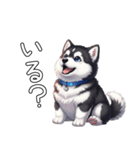 日常に溶け込むマラミュート（個別スタンプ：24）