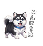 日常に溶け込むマラミュート（個別スタンプ：25）