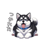 日常に溶け込むマラミュート（個別スタンプ：30）
