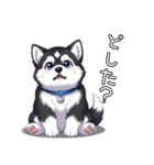 日常に溶け込むマラミュート（個別スタンプ：31）