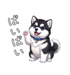 日常に溶け込むマラミュート（個別スタンプ：34）