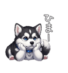 日常に溶け込むマラミュート（個別スタンプ：35）