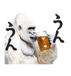 ごりごりゴリラ★酒ビール！やさしい敬語白（個別スタンプ：4）