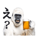 ごりごりゴリラ★酒ビール！やさしい敬語白（個別スタンプ：5）