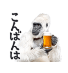 ごりごりゴリラ★酒ビール！やさしい敬語白（個別スタンプ：11）