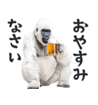ごりごりゴリラ★酒ビール！やさしい敬語白（個別スタンプ：12）