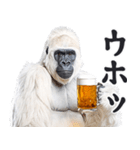 ごりごりゴリラ★酒ビール！やさしい敬語白（個別スタンプ：14）