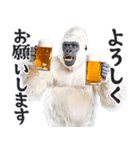 ごりごりゴリラ★酒ビール！やさしい敬語白（個別スタンプ：17）
