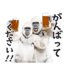 ごりごりゴリラ★酒ビール！やさしい敬語白（個別スタンプ：23）
