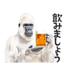 ごりごりゴリラ★酒ビール！やさしい敬語白（個別スタンプ：29）