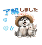 夏 猛暑 酷暑♡シベリアンハスキーとネコ（個別スタンプ：1）