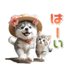 夏 猛暑 酷暑♡シベリアンハスキーとネコ（個別スタンプ：2）