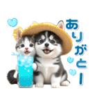 夏 猛暑 酷暑♡シベリアンハスキーとネコ（個別スタンプ：5）