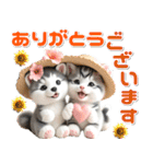 夏 猛暑 酷暑♡シベリアンハスキーとネコ（個別スタンプ：6）
