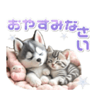 夏 猛暑 酷暑♡シベリアンハスキーとネコ（個別スタンプ：12）