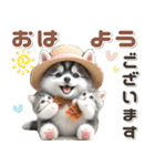 夏 猛暑 酷暑♡シベリアンハスキーとネコ（個別スタンプ：13）