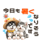 夏 猛暑 酷暑♡シベリアンハスキーとネコ（個別スタンプ：17）