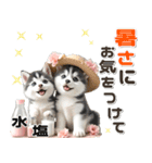 夏 猛暑 酷暑♡シベリアンハスキーとネコ（個別スタンプ：18）