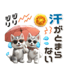 夏 猛暑 酷暑♡シベリアンハスキーとネコ（個別スタンプ：20）