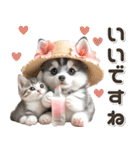 夏 猛暑 酷暑♡シベリアンハスキーとネコ（個別スタンプ：24）