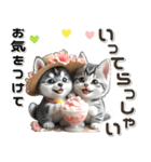 夏 猛暑 酷暑♡シベリアンハスキーとネコ（個別スタンプ：26）