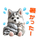 夏 猛暑 酷暑♡シベリアンハスキーとネコ（個別スタンプ：27）