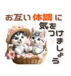 夏 猛暑 酷暑♡シベリアンハスキーとネコ（個別スタンプ：31）